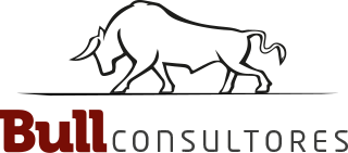 Logo Bull Consultores